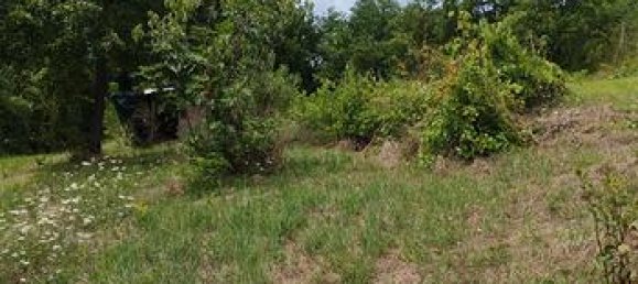 10000m² Land in Urbino, Italy No. 281298 2