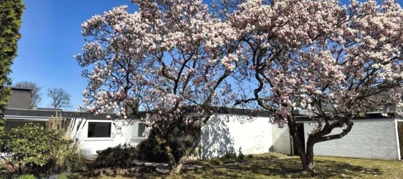 5 rooms Townhouse in Bielefeld, Germany No. 268073 5