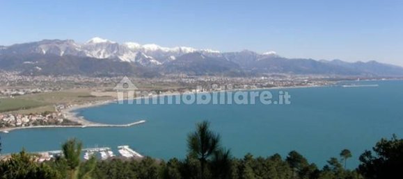 2 rooms Commercial property in Carrara, Italy No. 221854 3