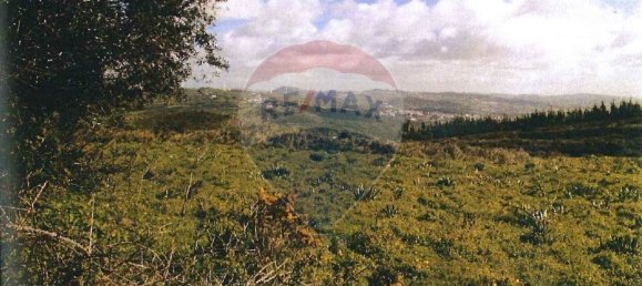 Grundstück in Sintra, Portugal 16000m², Nr. 72311 7