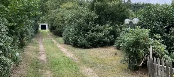 Casa de 4 habitaciónes en Nienburg, Germany No. 280446 8