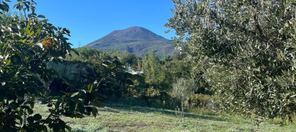  Land in Boscotrecase, Italy No. 339222 3