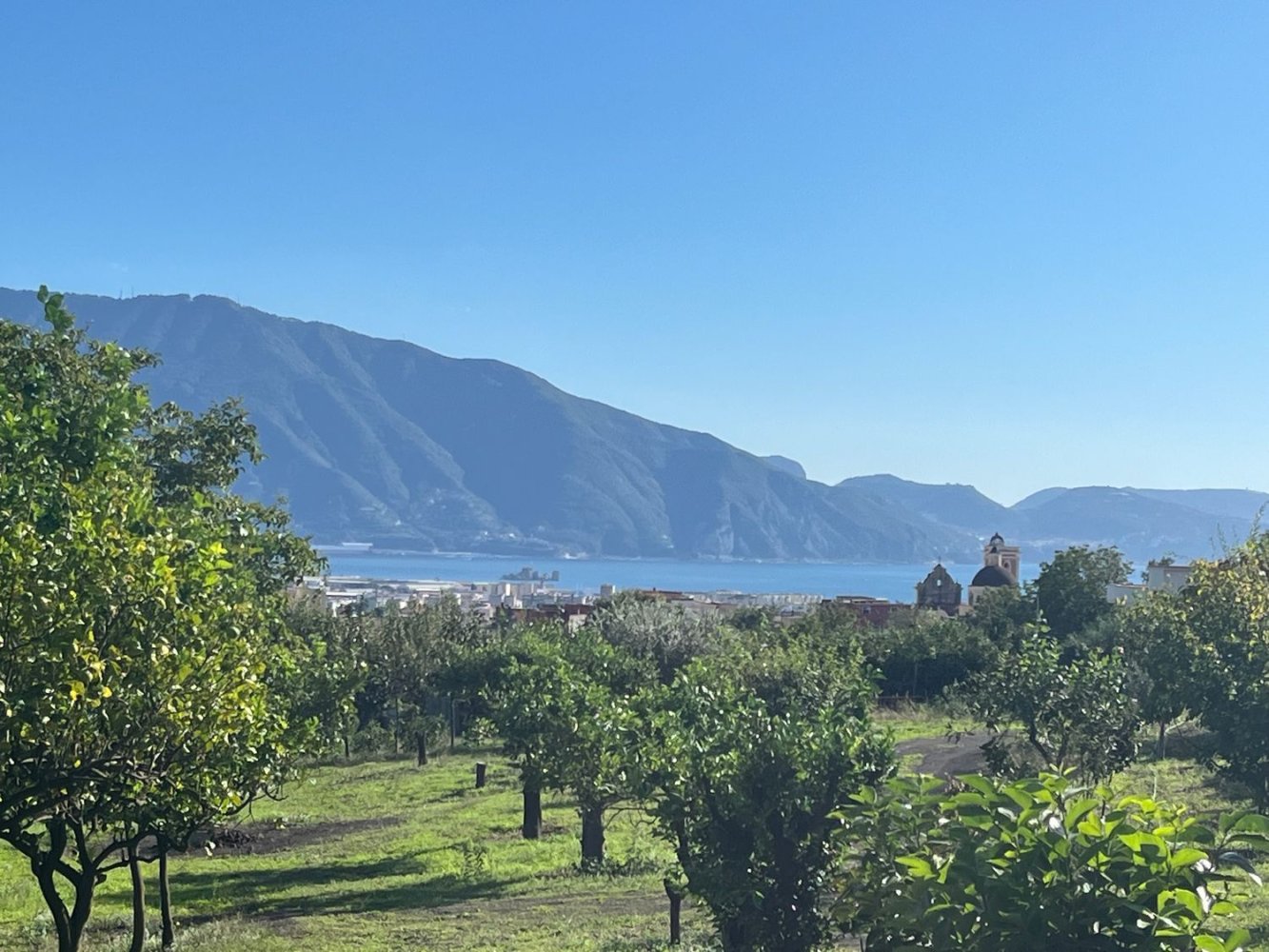  Land in Boscotrecase, Italy No. 339222