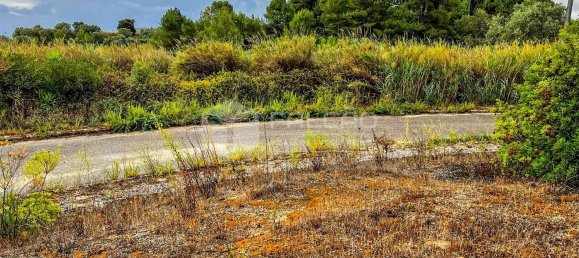 543m² Land in Santarem, Portugal No. 12653 25