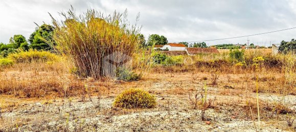 543m² Land in Santarem, Portugal No. 12653 30