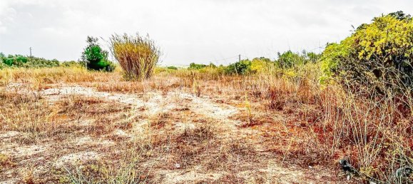 543m² Land in Santarem, Portugal No. 12653 34