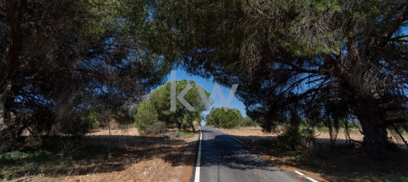 Земельный участок 6471м² в Лоле, Португалия № 38719 12