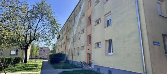 3 rooms Apartment in Meidling, Austria No. 173665 3