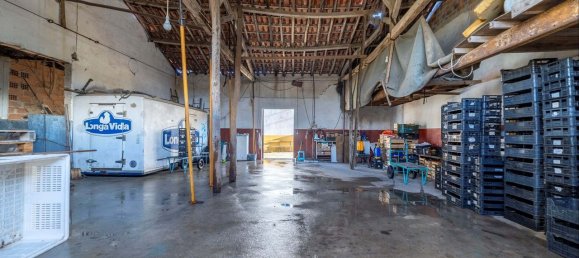 9 Schlafzimmer Haus in Santarem, Portugal, Nr. 304372 33