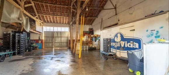 9 Schlafzimmer Haus in Santarem, Portugal, Nr. 304372 31