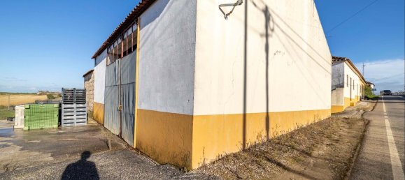 9 Schlafzimmer Haus in Santarem, Portugal, Nr. 304372 13