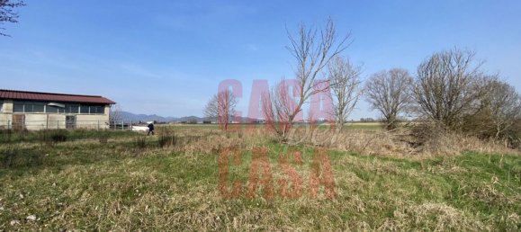 12 rooms Castles in Pernumia, Italy No. 297043 40