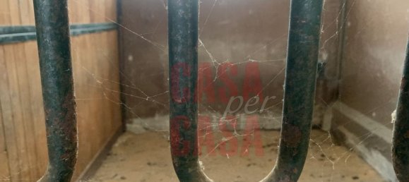 12 rooms Castles in Pernumia, Italy No. 297043 34