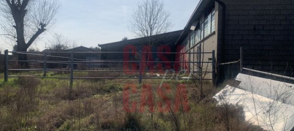 12 rooms Castles in Pernumia, Italy No. 297043 8