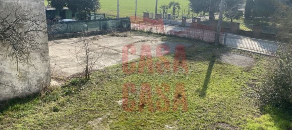 12 rooms Castles in Pernumia, Italy No. 297043 23