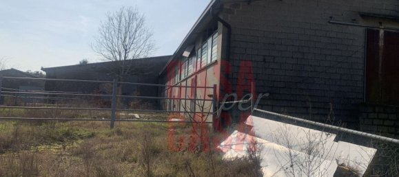 12 rooms Castles in Pernumia, Italy No. 297043 10