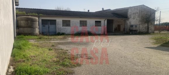 12 rooms Castles in Pernumia, Italy No. 297043 28