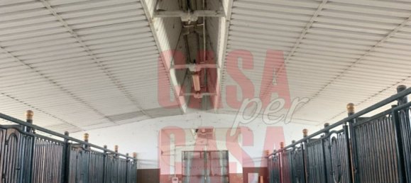 12 rooms Castles in Pernumia, Italy No. 297043 4