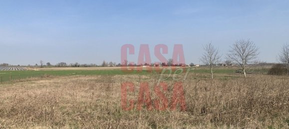 12 rooms Castles in Pernumia, Italy No. 297043 32