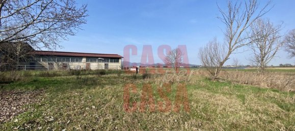 12 rooms Castles in Pernumia, Italy No. 297043 38