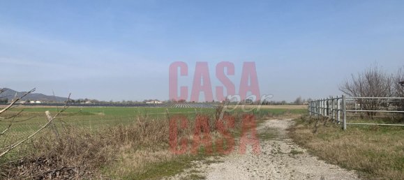 12 rooms Castles in Pernumia, Italy No. 297043 26