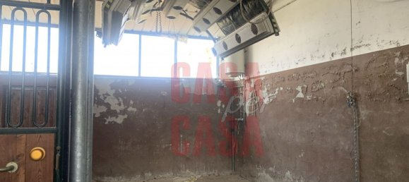 12 rooms Castles in Pernumia, Italy No. 297043 6