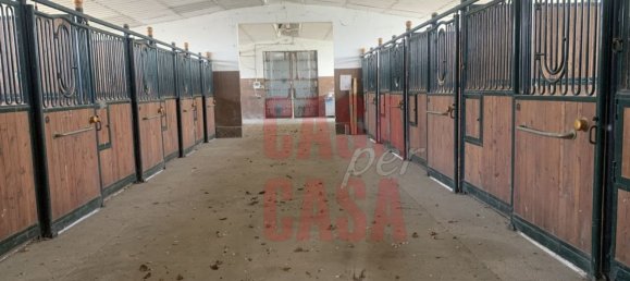 12 rooms Castles in Pernumia, Italy No. 297043 3