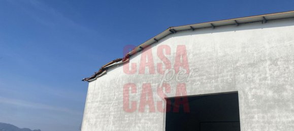 12 rooms Castles in Pernumia, Italy No. 297043 24