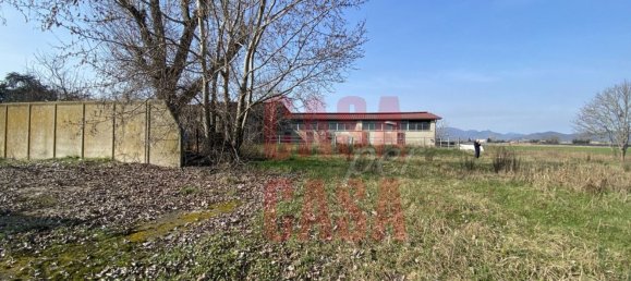 12 rooms Castles in Pernumia, Italy No. 297043 37