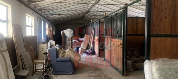 12 rooms Castles in Pernumia, Italy No. 297043 33