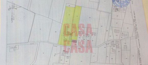 12 rooms Castles in Pernumia, Italy No. 297043 48