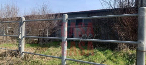 12 rooms Castles in Pernumia, Italy No. 297043 30