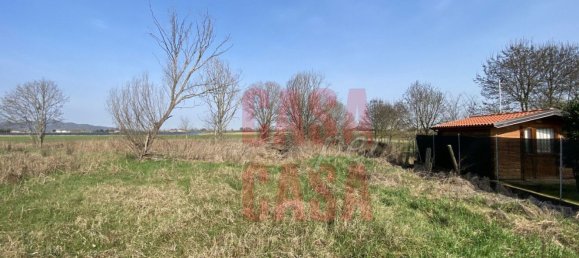 12 rooms Castles in Pernumia, Italy No. 297043 39