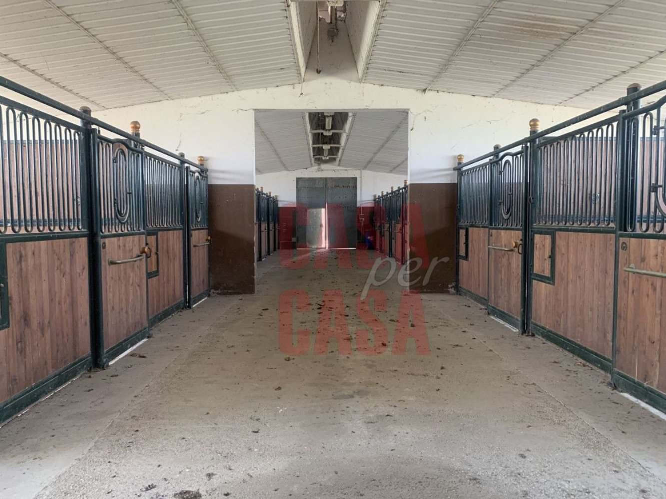 12 rooms Castles in Pernumia, Italy No. 297043