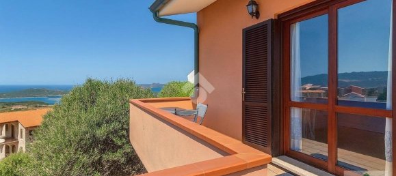 1 bedroom Apartment in Santa Teresa Gallura, Italy No. 296595 3