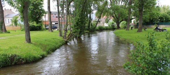 7 Schlafzimmer Haus in Chateauneuf-sur-Cher, France, Nr. 57583 18