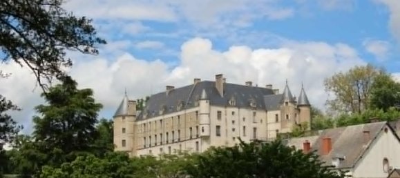 7 Schlafzimmer Haus in Chateauneuf-sur-Cher, France, Nr. 57583 17