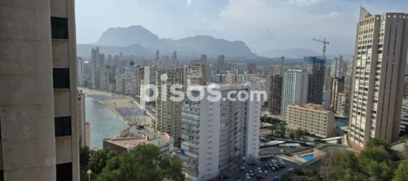 1 chambre Appartement à Benidorm, Spain No. 134104 54