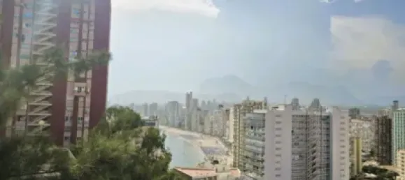 1 chambre Appartement à Benidorm, Spain No. 134104 30