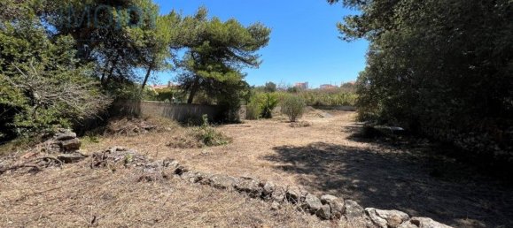 1059m² Land in Cascais, Portugal No. 130848 12