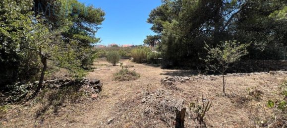 1059m² Land in Cascais, Portugal No. 130848 11