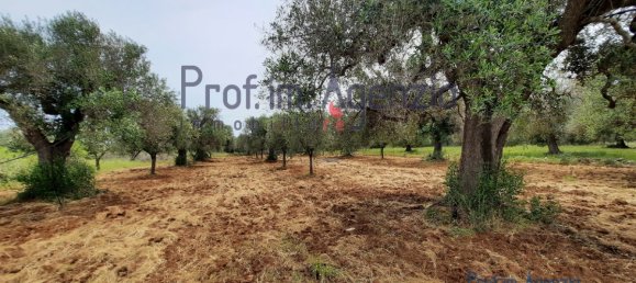 1 bedroom Villa in San Vito dei Normanni, Italy No. 328997 11