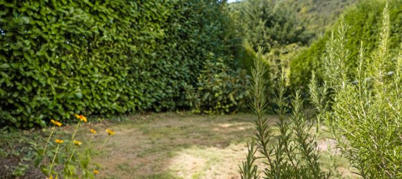 2 غرف نوم شقة في Ahrweiler, Germany رقم 290940 20