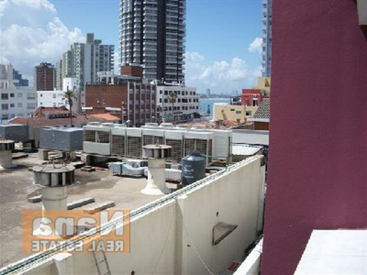 Studio in Maldonado, Uruguay, Nr. 4285