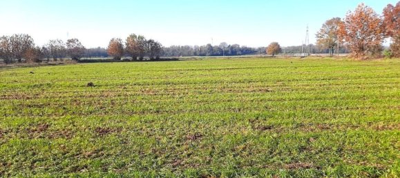 5 bedrooms House in Valeggio sul Mincio, Italy No. 370001 6