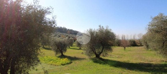 Villa de 9 habitaciónes en Fara in Sabina, Italy No. 50131 31