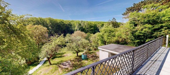 6 rooms Villa in Klosterneuburg, Austria No. 154782 6