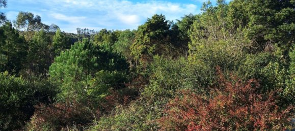 Дом с 5 спальнями в Синтра, Португалия № 45880 20