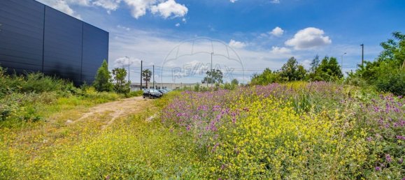 34400m² Land in Gondomar, Portugal No. 38100 12