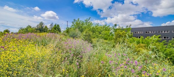 34400m² Land in Gondomar, Portugal No. 38100 11